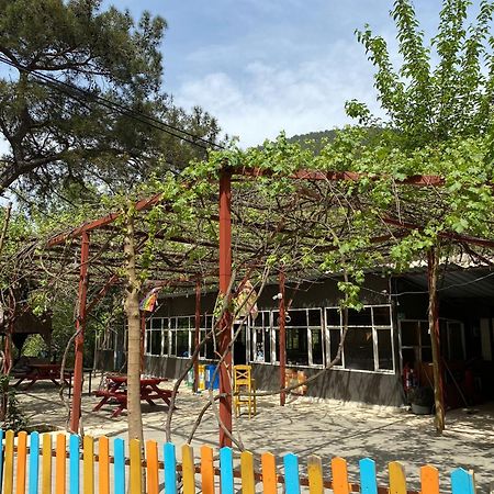 Olympos Camlik Pension Екстер'єр фото