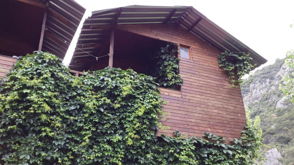 Olympos Camlik Pension Екстер'єр фото