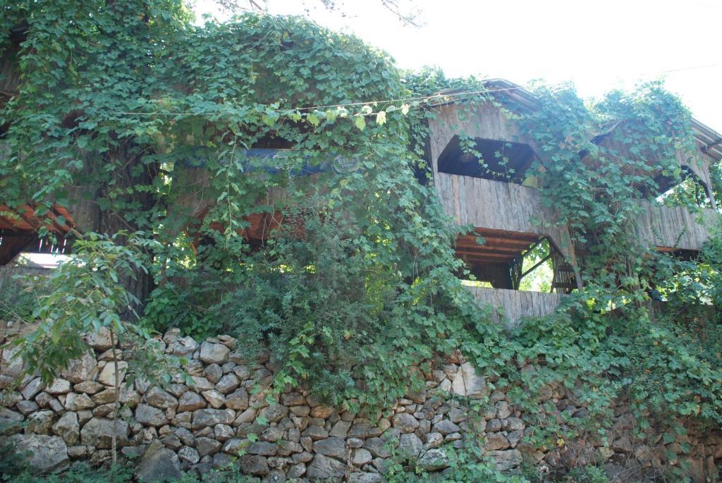 Olympos Camlik Pension Екстер'єр фото